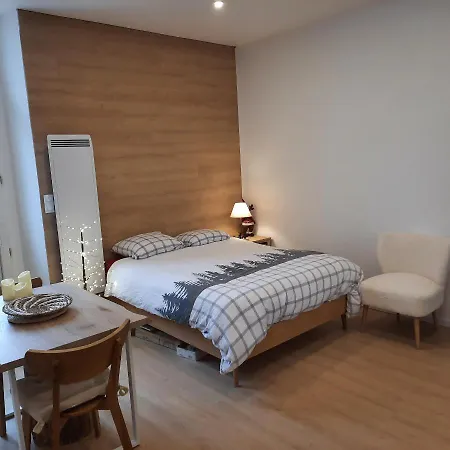 Grand Studio Terrasse Classe 4* *