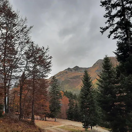 Grand Studio Terrasse Classe 4* דירה