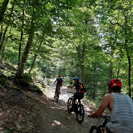 Grand Studio Terrasse Classe 4* דירה *