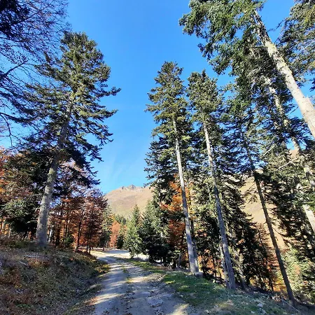 Grand Studio Terrasse Classe 4* דירה *